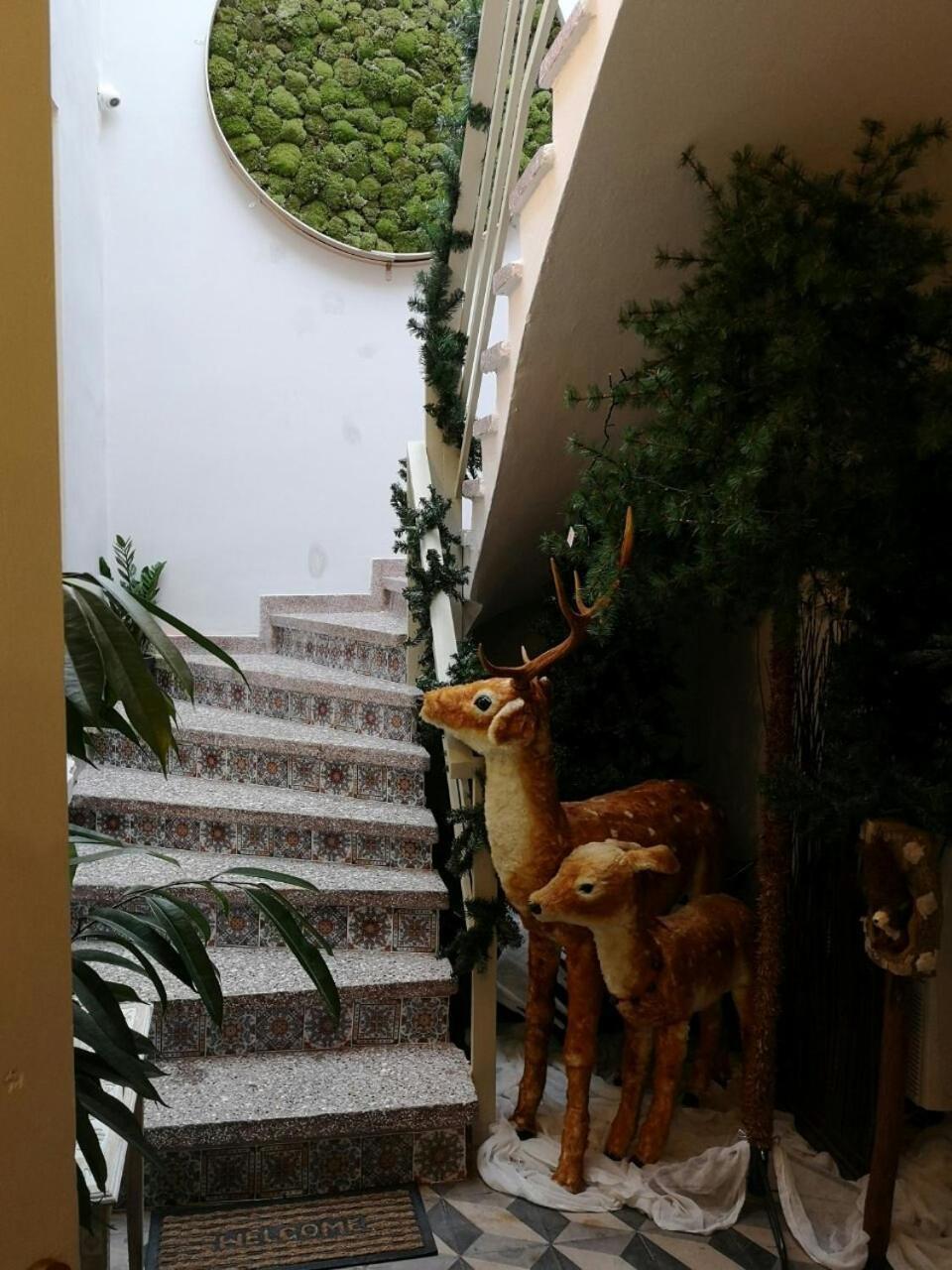Sali Boutique Hotel 알렉산드로폴리스 외부 사진